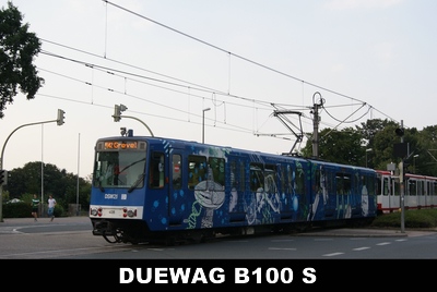 DSW21 B100