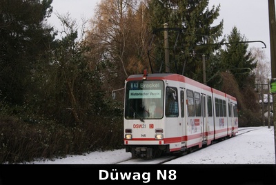 DSW21 N8
