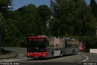 A23 2015