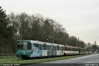 B80 D 1992