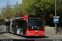 Citaro G C2 2019