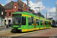 NF6 1996