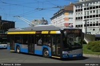 new Trollino 12 2021