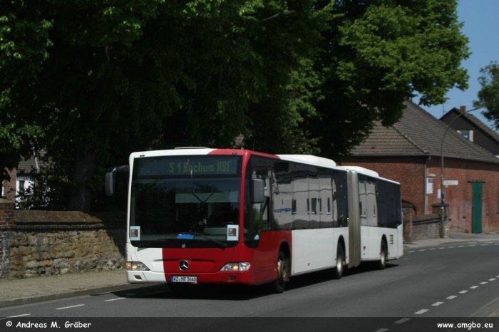 Klicken für Bild in voller Größe