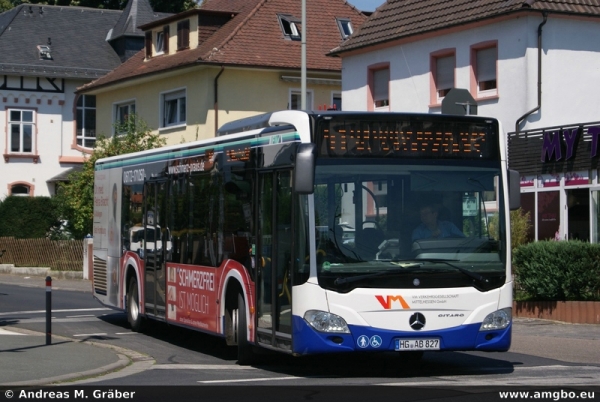 Klicken für Bild in voller Größe