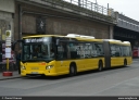 BVG_4474.jpg