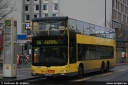 bvg3294.jpg