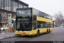 bvg3496.jpg