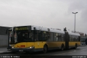 bvg4346.jpg