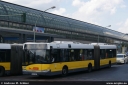 bvg4365.jpg