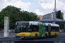 bvg4410.jpg