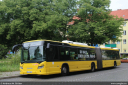 bvg4466.jpg