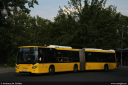 bvg4475.jpg