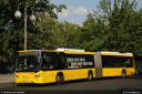 bvg4496.jpg