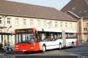 teutobus7734.jpg