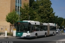 viabus34.jpg