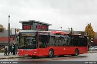 BRS A20 LC 2021