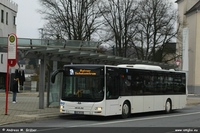 BRS A21 LC 2019